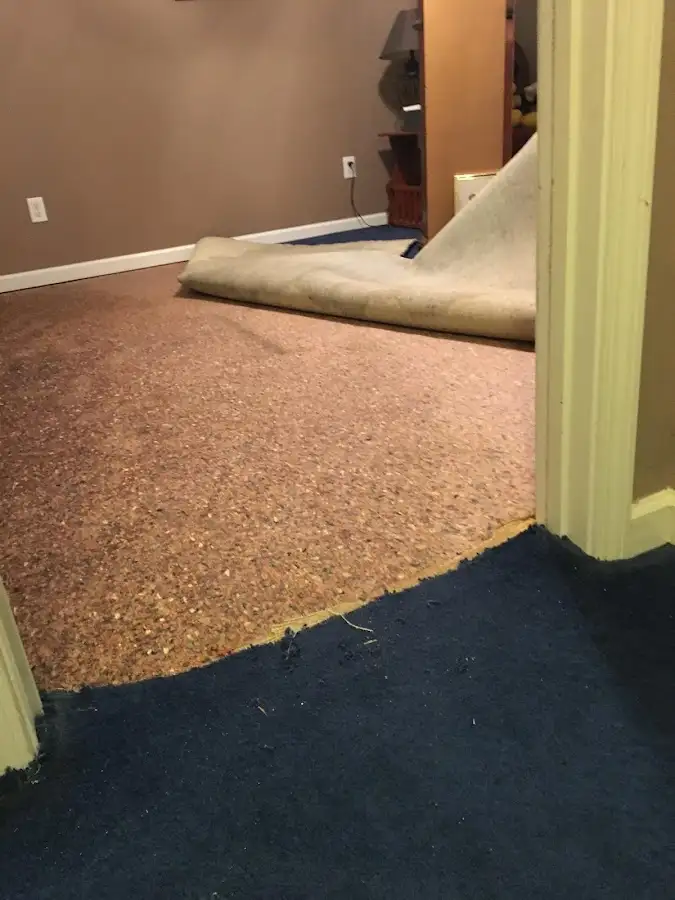 Carpet pad removal revealing water damage during Drying & Dehumidification in Dawsonville