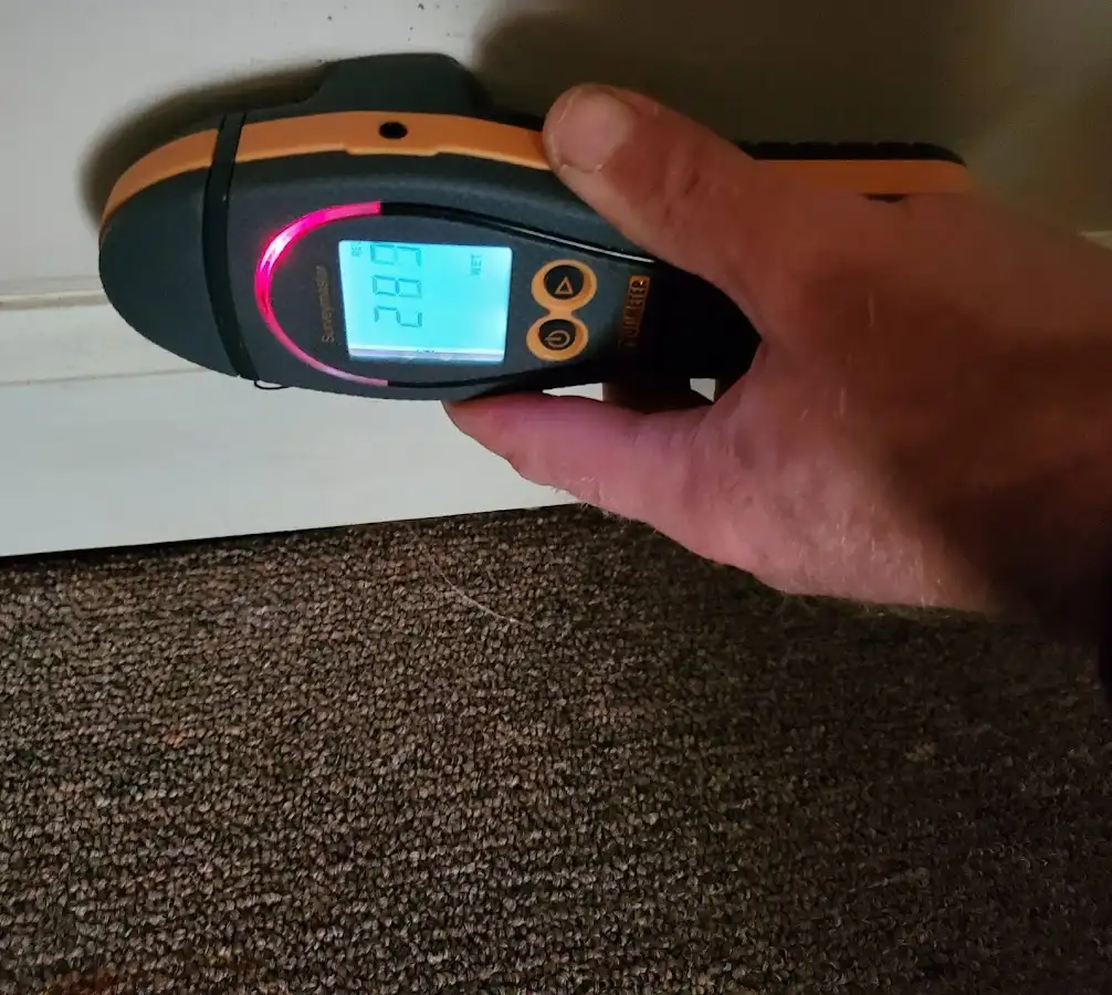 Moisture detection at baseboard during Sewage Cleanup & Sanitation in Dawsonville